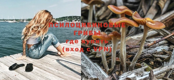 дурь Балабаново