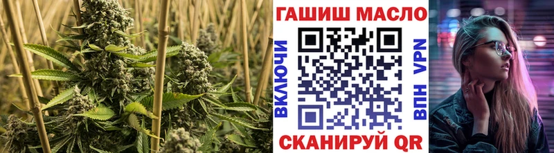 Купить где Болотное Дистиллят ТГК Wax